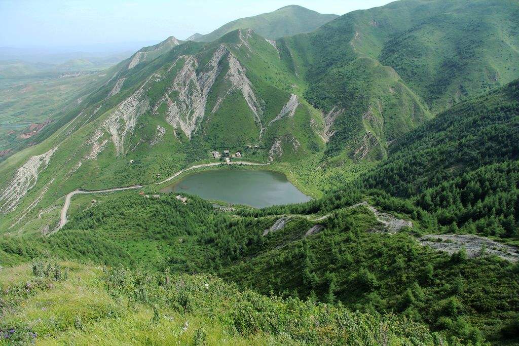 2021北京西山国家森林公园牡丹花开了吗-花期及观赏地点